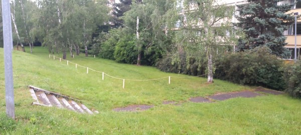 Nesekané trávníky