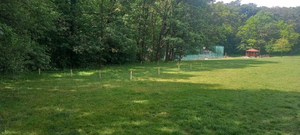 Nesekané trávníky