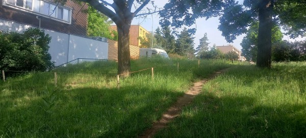 Nesekané trávníky