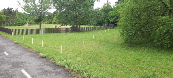 Nesekané trávníky