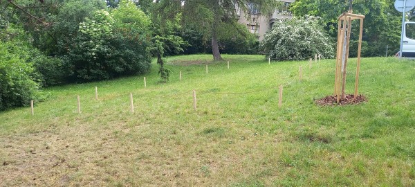 Nesekané trávníky