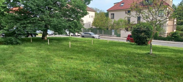 Nesekané trávníky