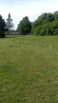 Nesekané trávníky