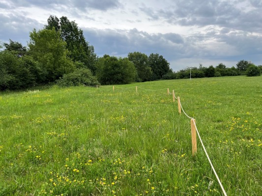 Nesekané trávníky