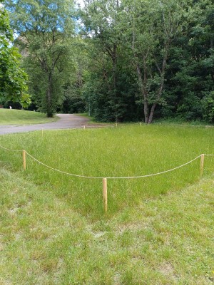 Nesekané trávníky