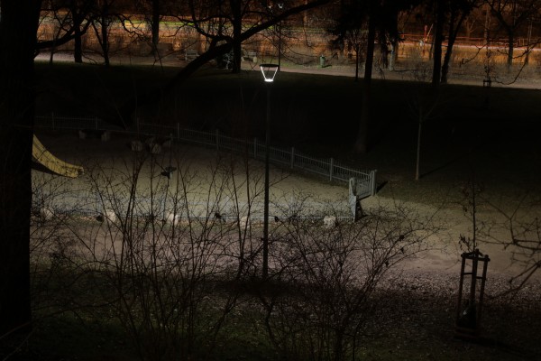Nové veřejné osvětlení v parku Na Fidlovačce