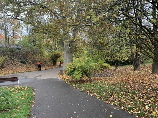 Koncepční studie revitalizace parku Jezerka