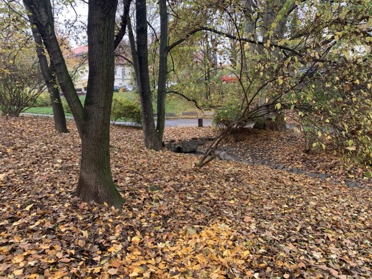 Koncepční studie revitalizace parku Jezerka