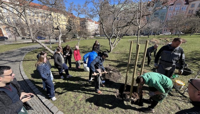 Žáci vysadili stromy a dali ptačí budky na nám. Generála Kutlvašra