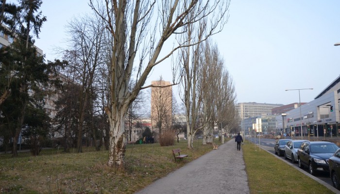 Zhodnocení možností revitalizace veřejného prostoru při ulici Hvězdova