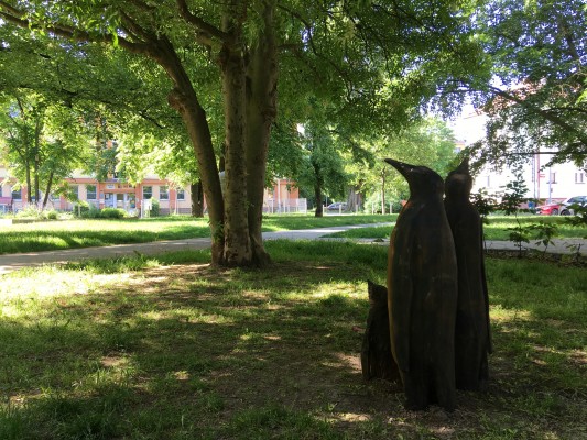 Rodinka tučňáků v parku Halasova