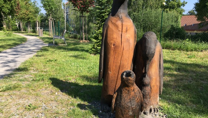 Tučňáci v zahradě Jeremenkova