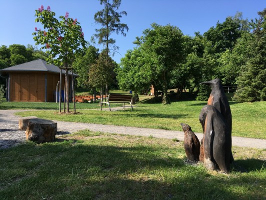 Rodinka tučňáků v zahradě Jeremenkova