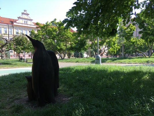 Rodinka tučňáků na Náměstí gen. Kutlvašra