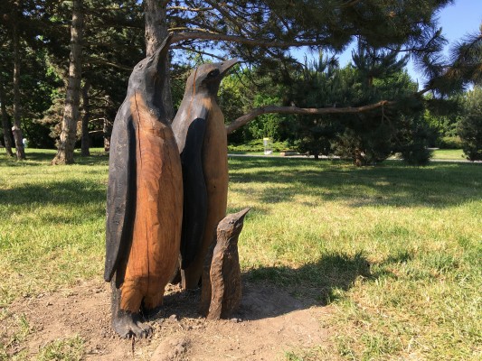 Rodinka tučňáků v parku na Pankráci