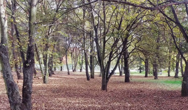 Ideová studie revitalizace lokality U Vodotoku