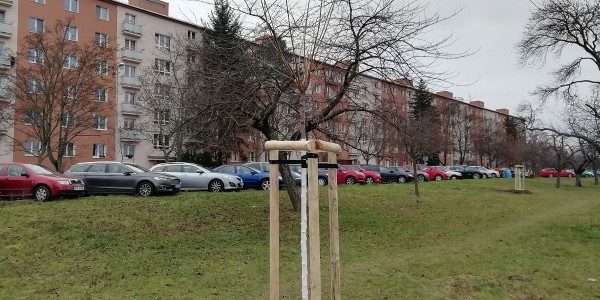 Výsadba 40 ovocných stromů v historickém sadu Třešňovka