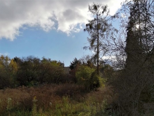 Revitalizace zahrady Jeremenkova