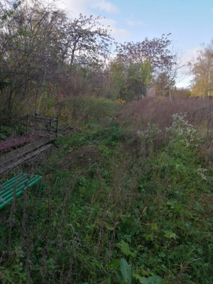 Revitalizace zahrady Jeremenkova