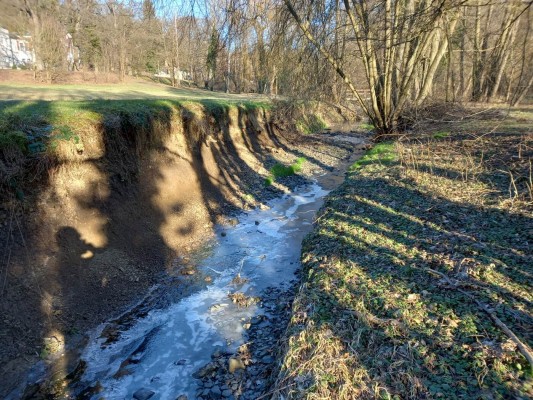 Ideová krajinářská studie údolí Zátišského potoka