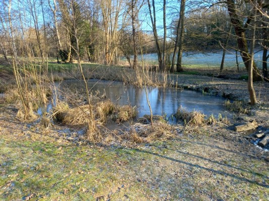 Ideová krajinářská studie údolí Zátišského potoka